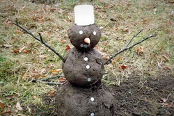 Тамбов в ближайшие дни ожидает «черная зима»