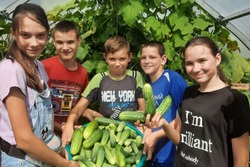 Ребята из Горельской школы-интерната учатся растить овощи