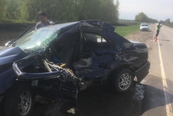 Водитель грузовика спровоцировал смертельное ДТП в Тамбовской области