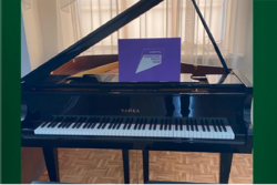 Детская школа искусств Мичуринска получила по нацпроекту новый рояль