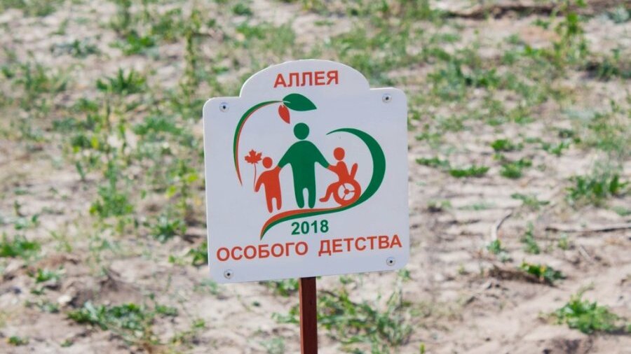 Аллея детства. Аллея детства. Аллея детства суровикино. Калач на дону парк пятиморск. Аллея детства волгоград пятиморск.