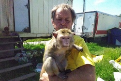 «Спасите наши души»: животным из застрявшего в Тамбове цирка вновь грозит голод