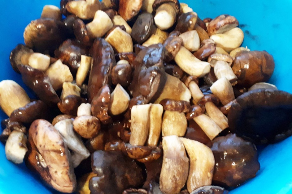 Польских сейчас немного