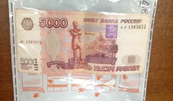 Тамбовчанин пытался откупить своего пасынка от наказания с помощью взятки  