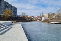 В пруду города Уварово отмечена гибель белого амура, который запустили туда прошлой осенью