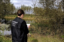 В Токаревском округе выясняют причины гибели пожилого мужчины 