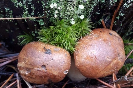 Фото: Наталия Служеникина