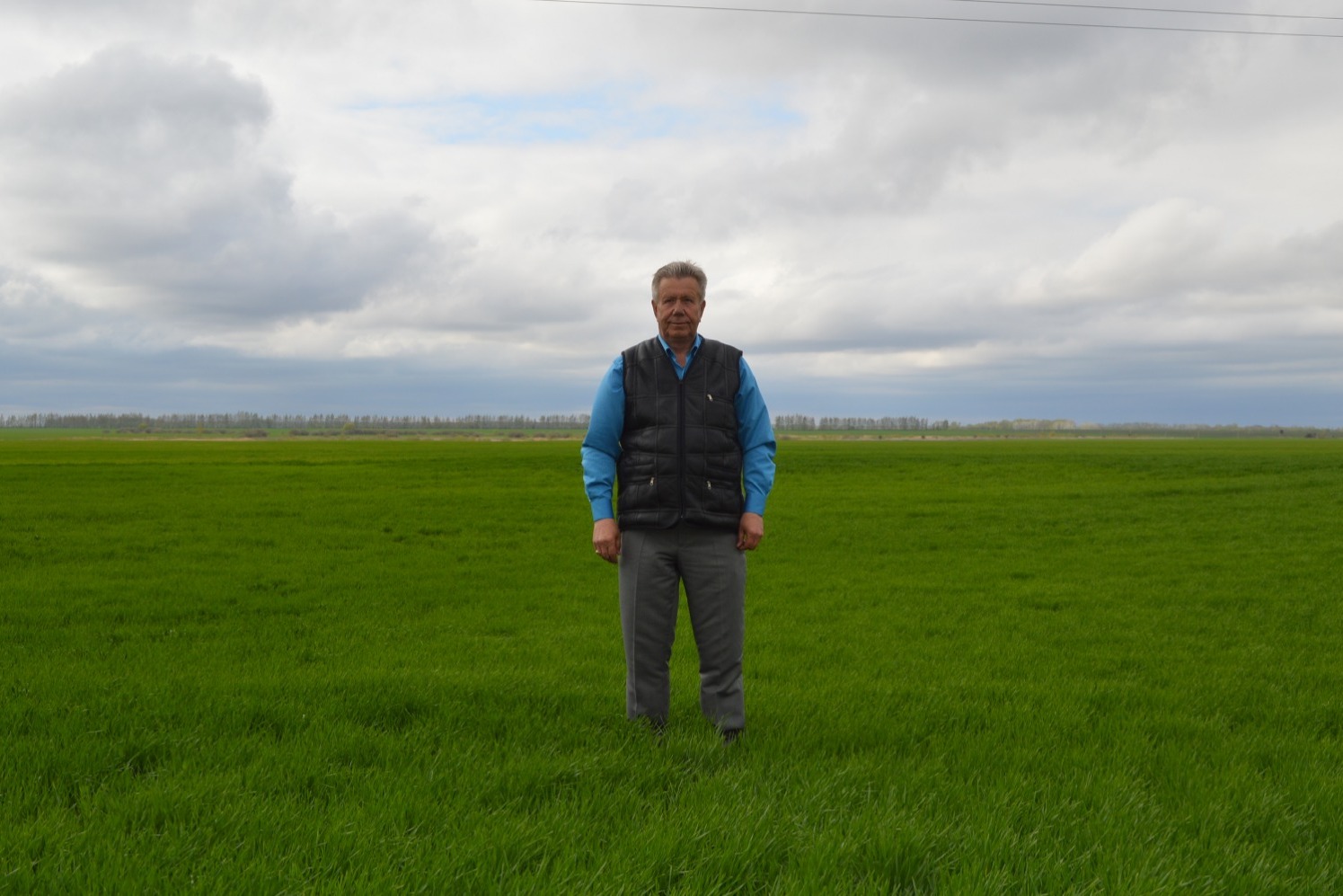 Рифат Тагиров в этом году доволен всходами озимой пшеницы