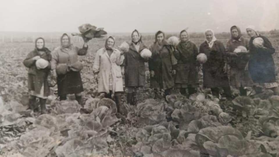 Овощеводы совхоза «Сухотинский», 1970 год