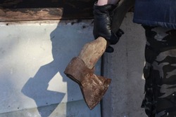 Пожилой тамбовчанин решил убить жену и себя, но вместо смерти получил 6 лет
