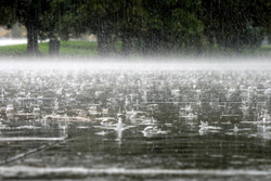 Погода на выходные: в Тамбовской области ожидаются дожди, грозы и град