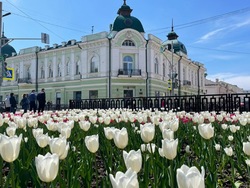 В Тамбове откроется выставка «Содружество на орбите»