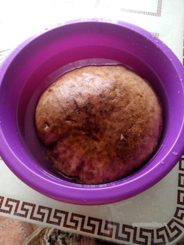 Гигантские грибы собирают мучкапцы