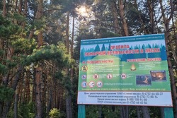 В Тамбовской области по 11 октября продлён особый противопожарный режим