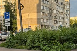 В Тамбове продолжится осеннее лето