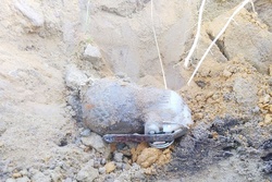 На Бокинских прудах под Тамбовом обнаружили гранату