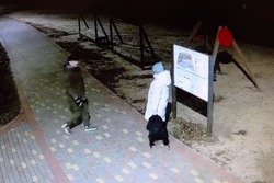 В Мичуринске задержали вандала, разбившего камеру видеонаблюдения в парке 