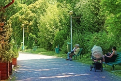 В Тамбове появится новый сквер на Полынковской