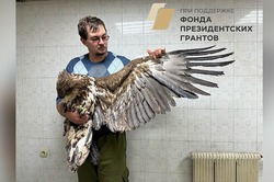 Краснокнижного орлана выпустили на волю под Тамбовом 