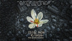 Российские артисты  записали альбом в помощь жертвам теракта в «Крокус Сити Холле»