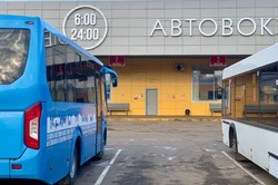 В Казань и Калугу будут ездить рейсовые автобусы из Тамбова