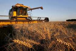 В Тамбовской области собрано почти 2,5 миллиона тонн зерна