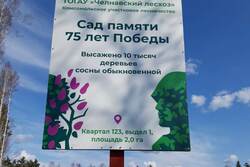 «Сад памяти — сад жизни»: к юбилею Победы на Тамбовщине высадят 75 гектаров молодого леса