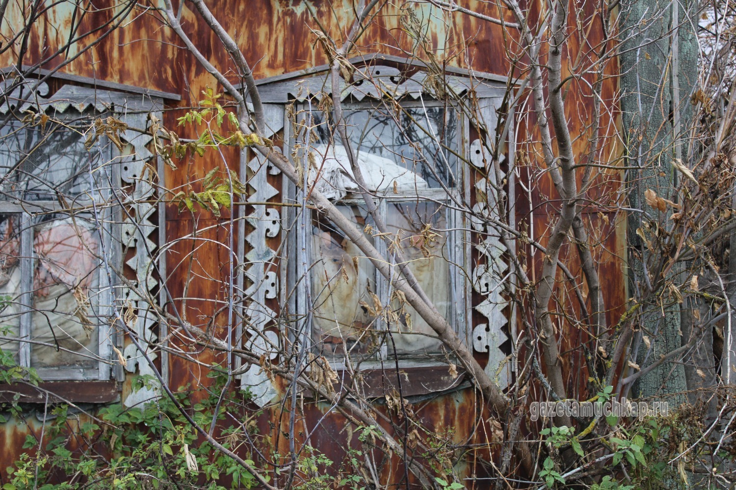 Ещё одни находки из Шапкино