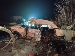 В Жердевском округе водитель иномарки скрылся с места смертельного ДТП 