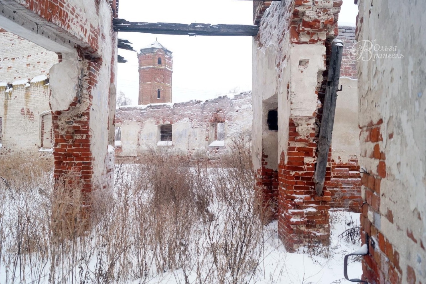 Асеевская конюшня. г. Рассказово. Эстетика руин, 2017 год