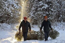 В Тамбовской области усилят охрану лесов от новогодних браконьеров