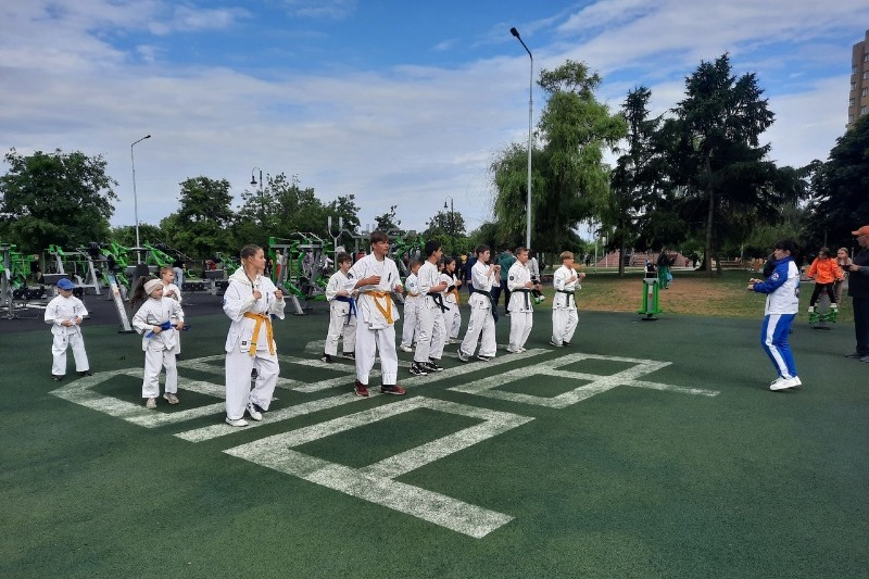 День карате
