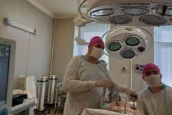Тамбовские врачи успешно провели эндоскопическую операцию по удалению селезёнки