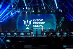 Тамбовчане завоевали три медали на Кубке России по киберспорту