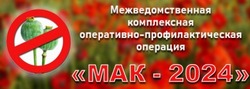В Тамбовской области началась операция «Мак-2024»