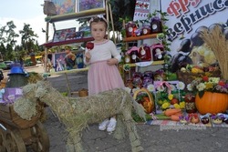 В Петровском округе в пятый раз пройдёт фестиваль «Фруктовый вернисаж» 