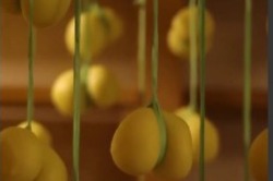 На вкусной экскурсии тамбовчан научат делать моцареллу