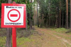 С 10 октября в Тамбовской области вводится ограничение на посещение лесов
