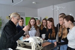 Аттестат плюс первая профессия: кирсановские подростки начинают карьеру, учась в школе