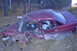 С начала года на Тамбовщине по вине водителей-новичков произошло 28 ДТП