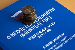 В МФЦ новая функция - внесудебное банкротство