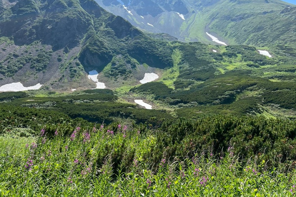 Фото: архив семьи Щукиных