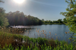 Горячий май: тамбовчане проводят весну 30-градусной жарой