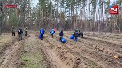 Тамбовчане участвуют в восстановлении лесного массива ЛНР