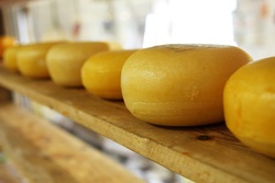 Тамбовский поставщик продуктов для школьного питания оштрафован за подмену сыров