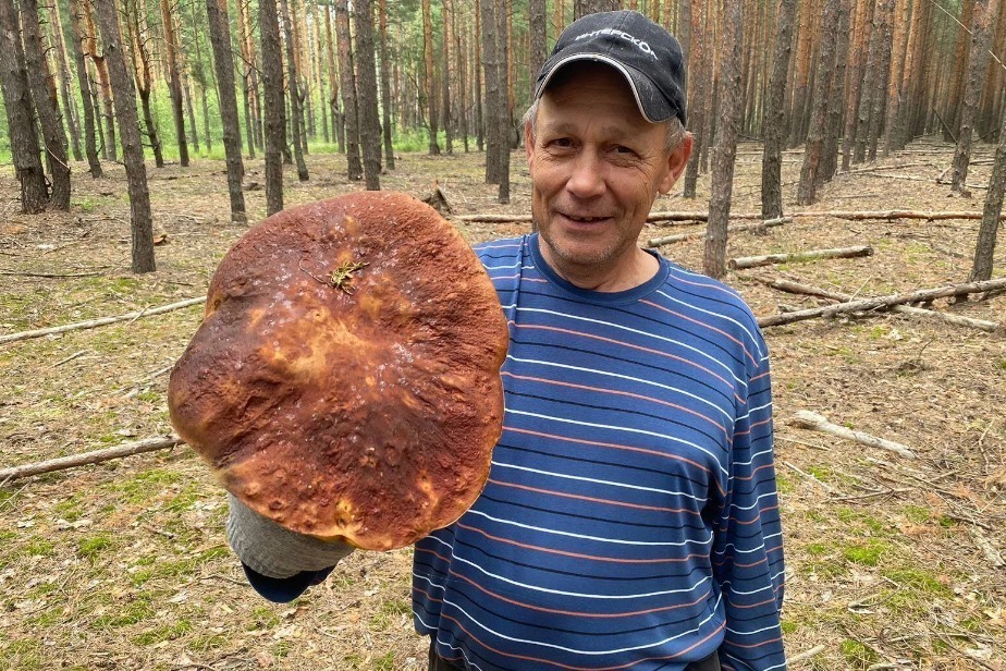Гигантский боровик оказался несъедобным