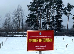 В Тамбовской области директора лесхоза и его подчинённого будут судить за мошенничество