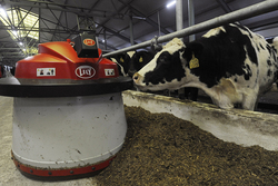 Тамбовская область планирует увеличить производство молока до 108,5 тысяч тонн