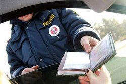 За оскорбление гаишников девушка из Тамбова заплатит 10 тысяч рублей