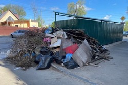 В Тамбове введут штрафы за складирование веток на мусорных площадках